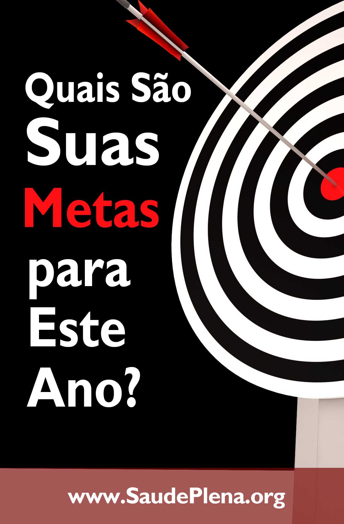 Quais São Suas Metas para Este Ano?