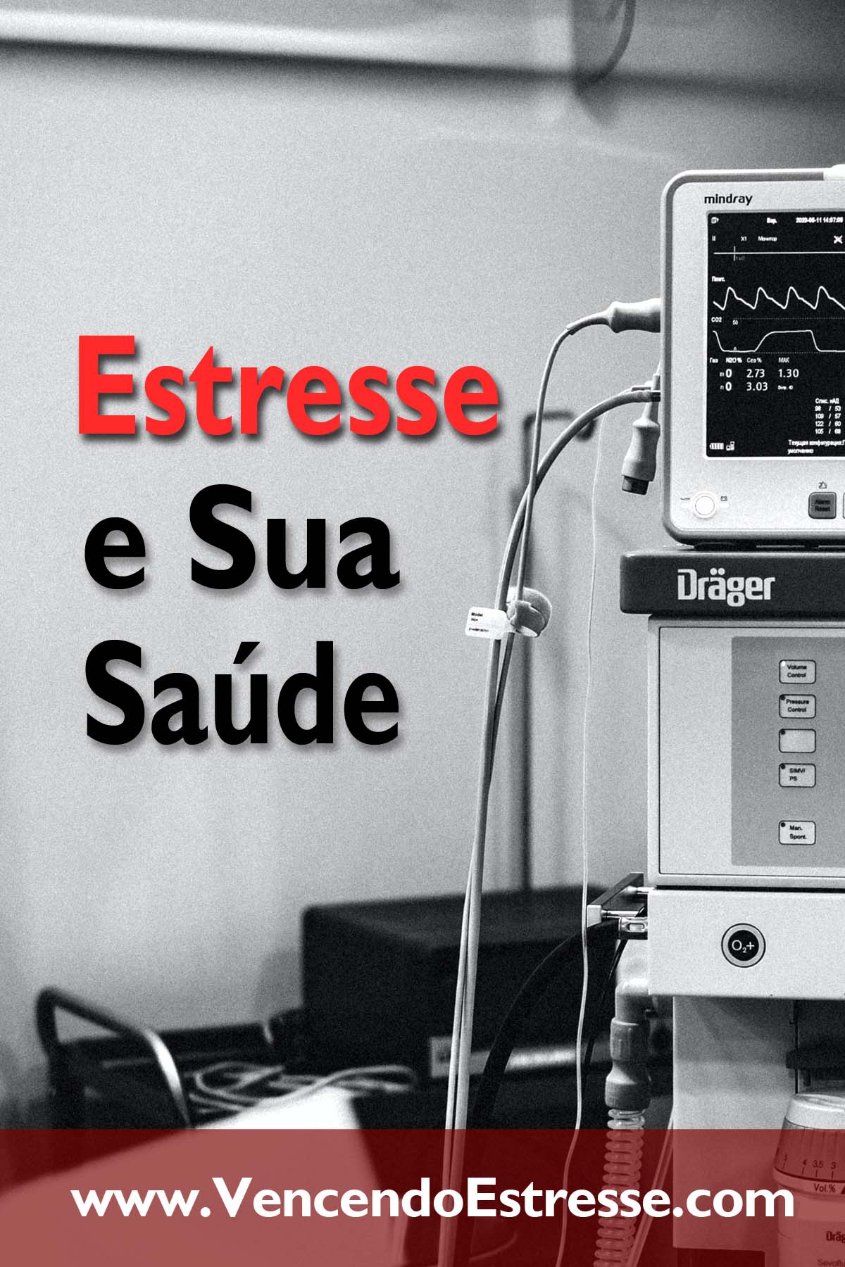 Estresse e Sua Saúde